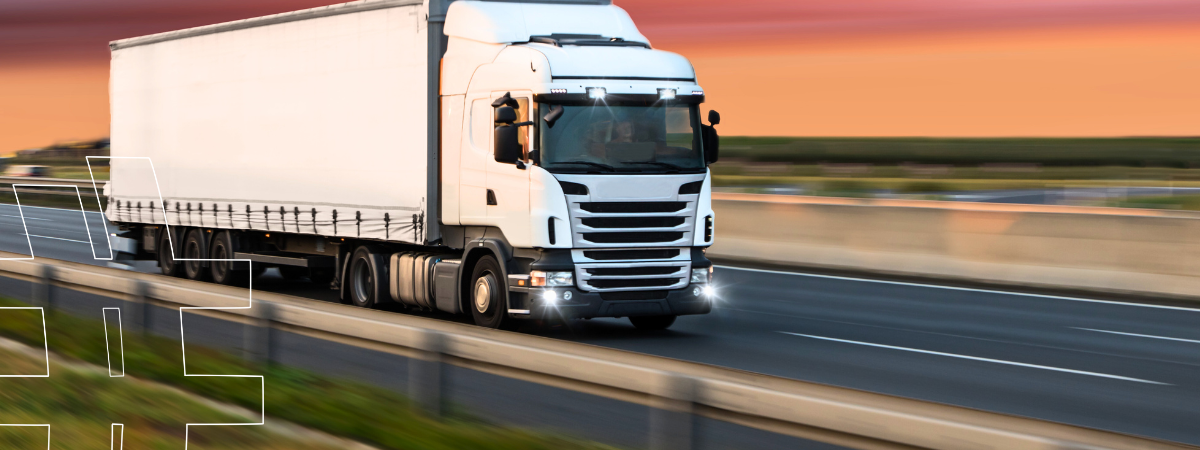 Portfólio Expandido